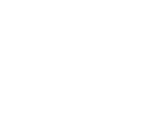 Swiss Skills