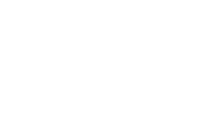 All for One Group